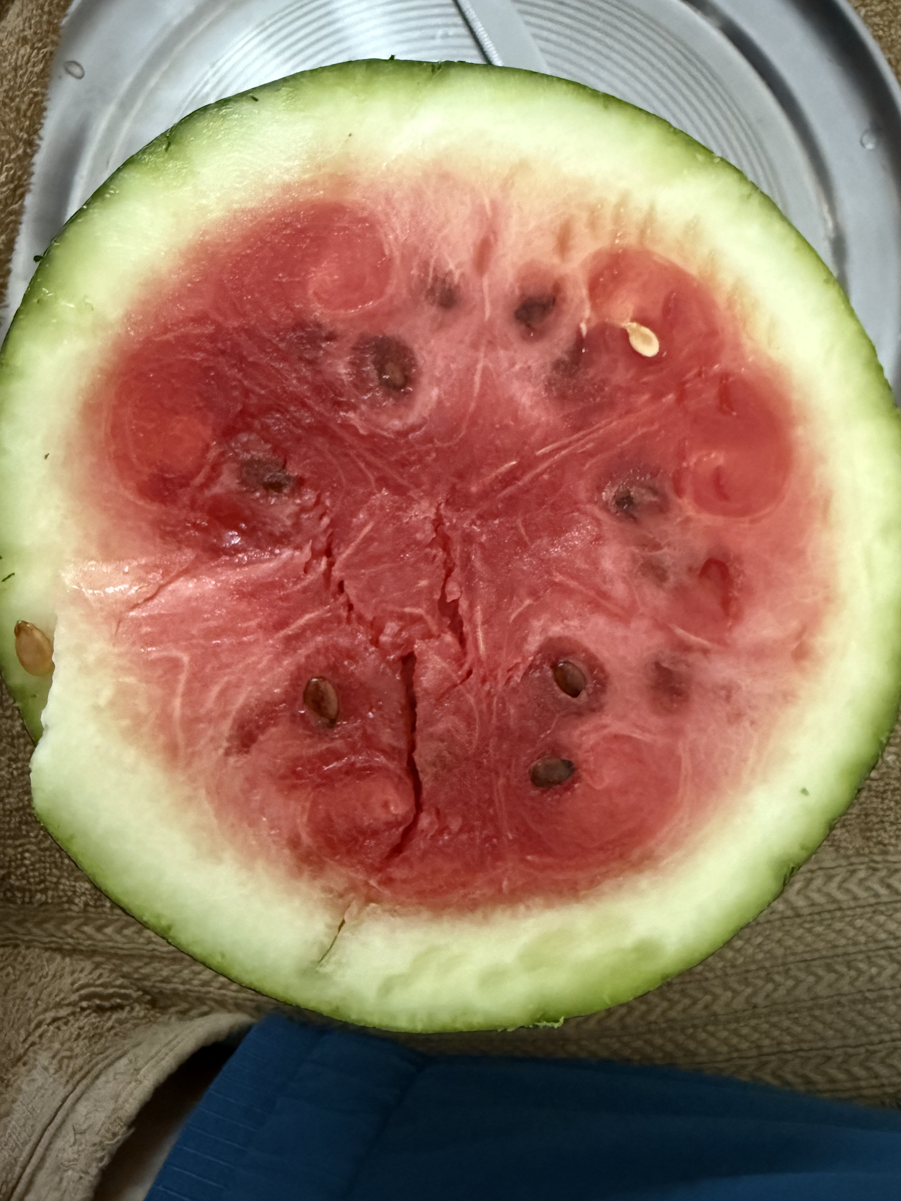 Watermelon plume pattern
