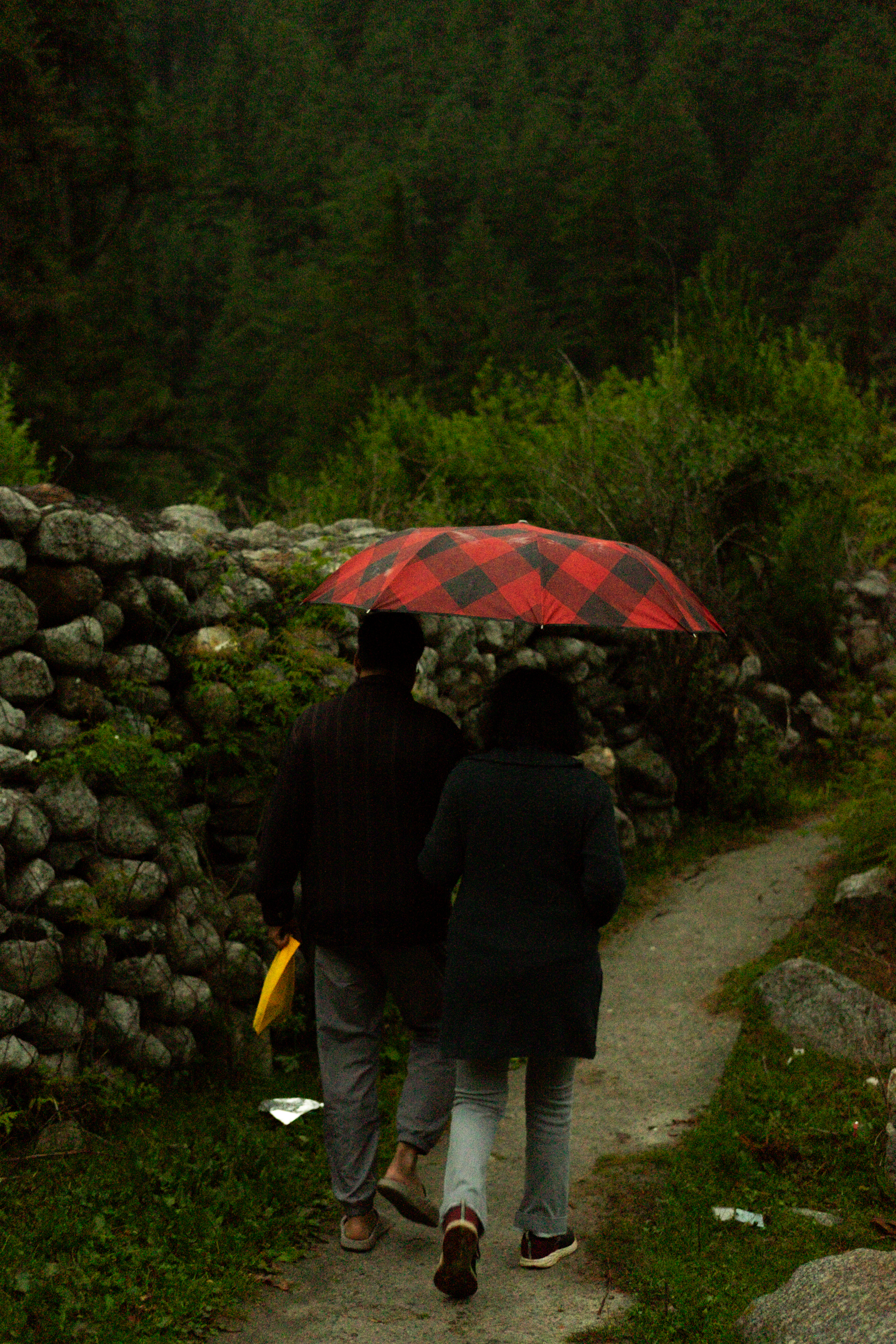 DSCF2381.jpg