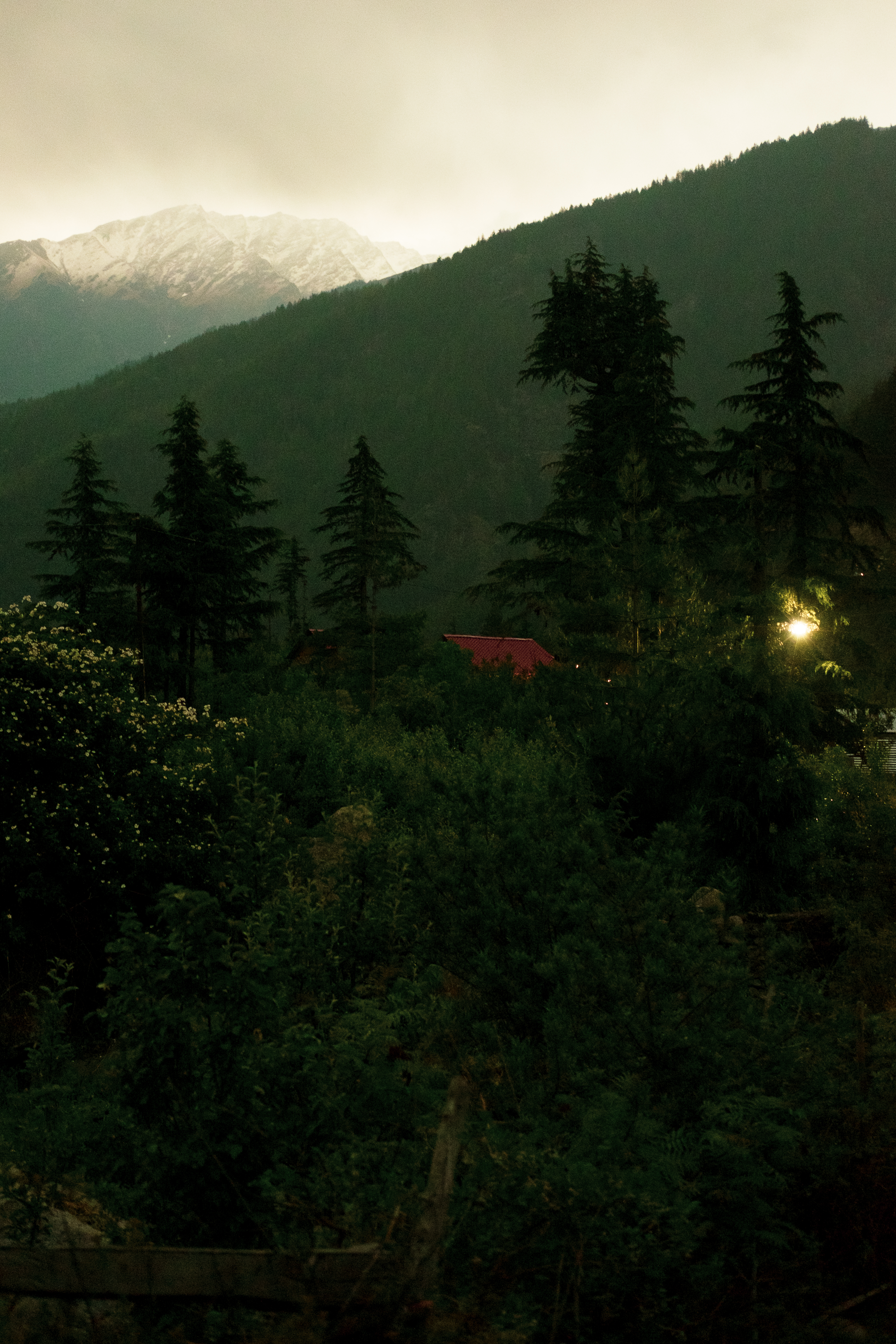 DSCF2390-2.jpg