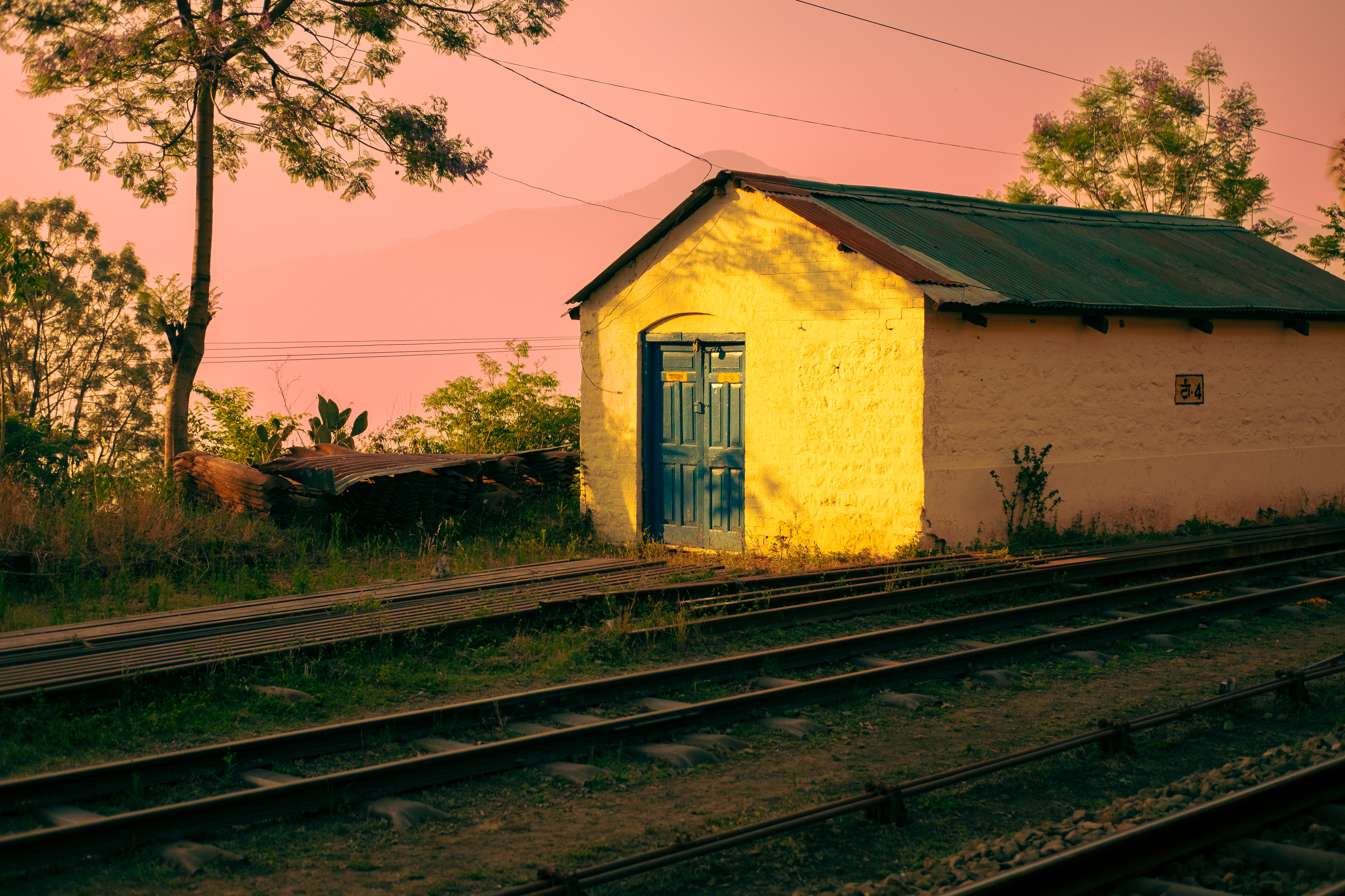 DSCF0531.jpg