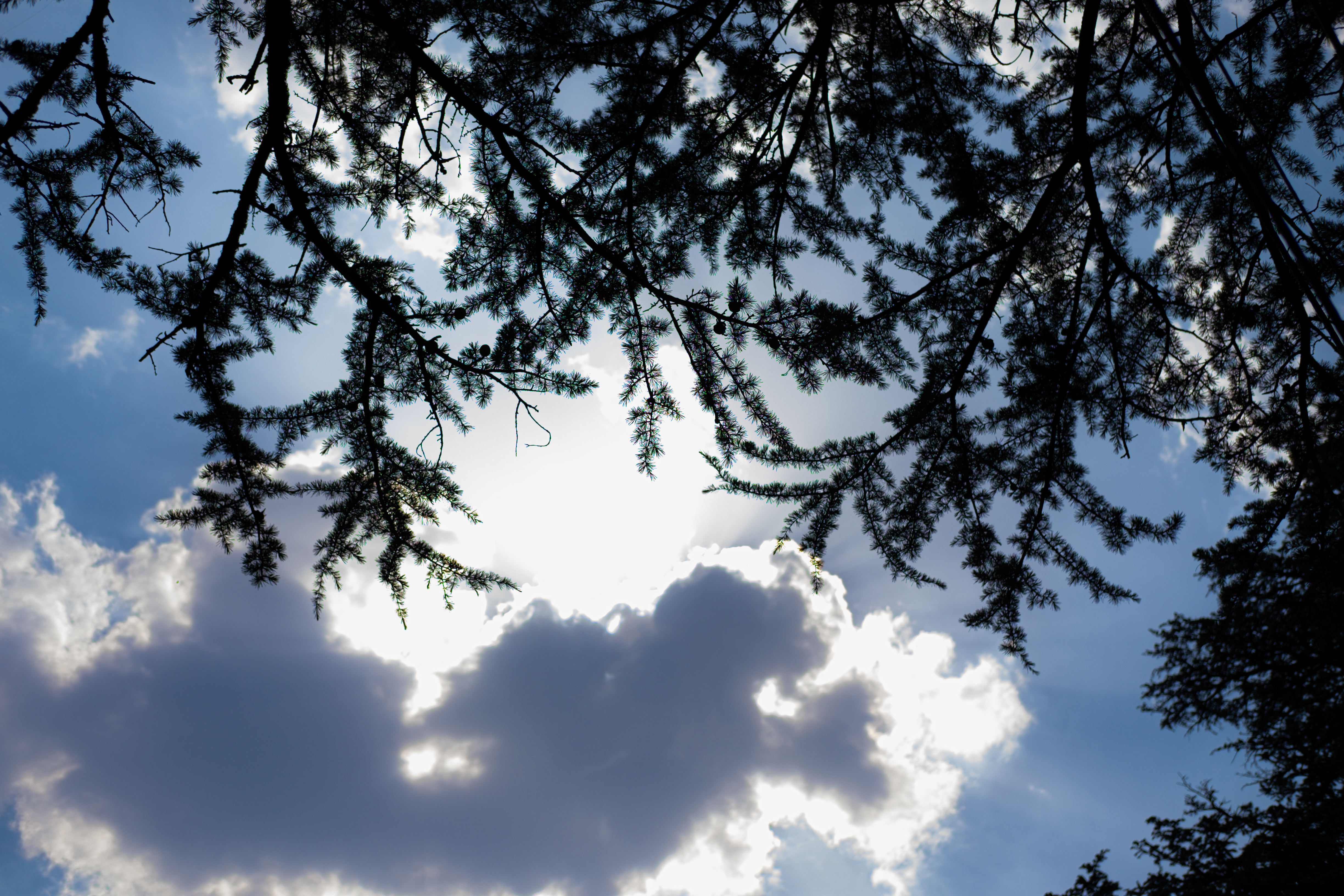 DSCF1061.jpg
