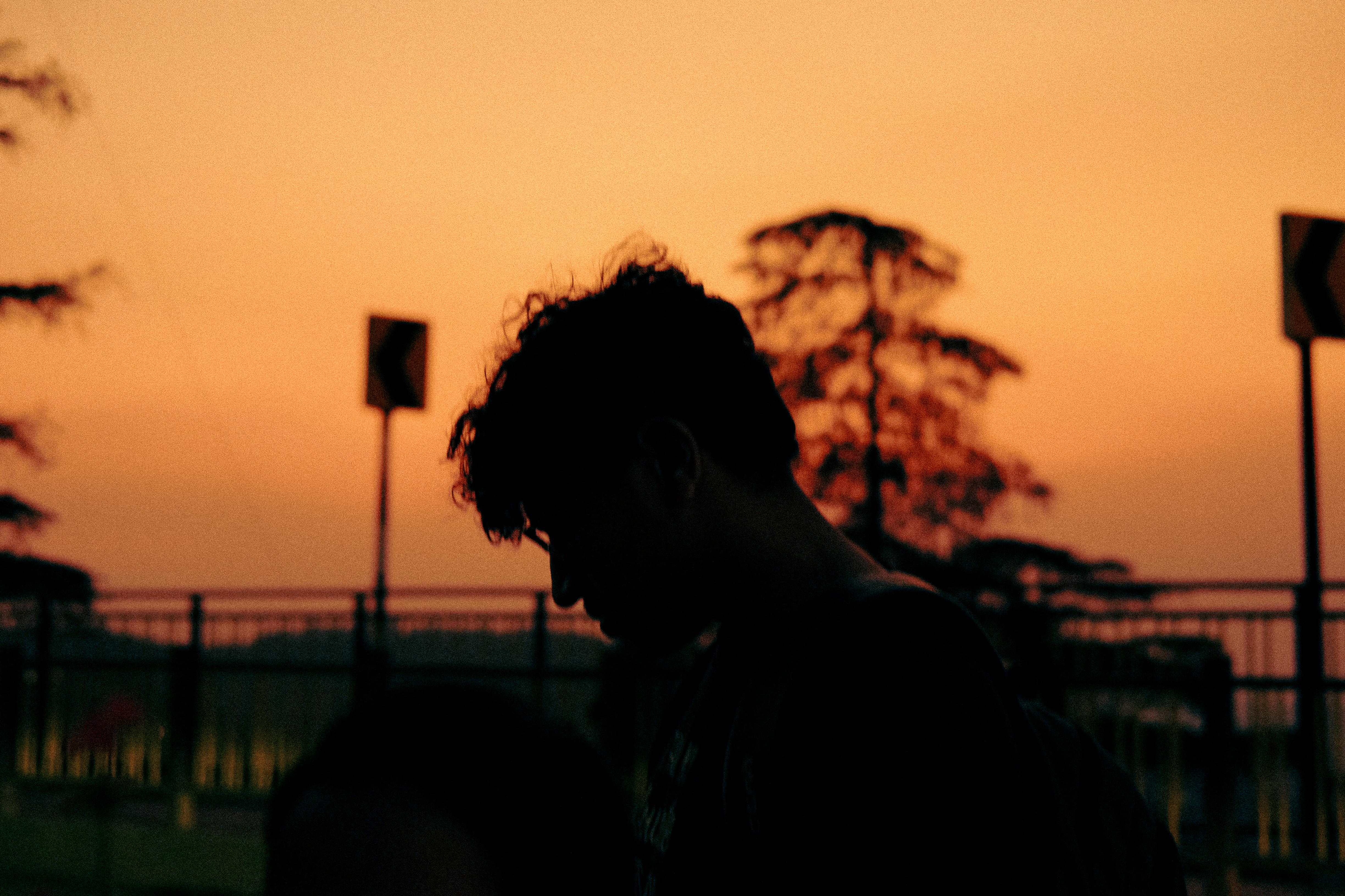 DSCF1374.jpg